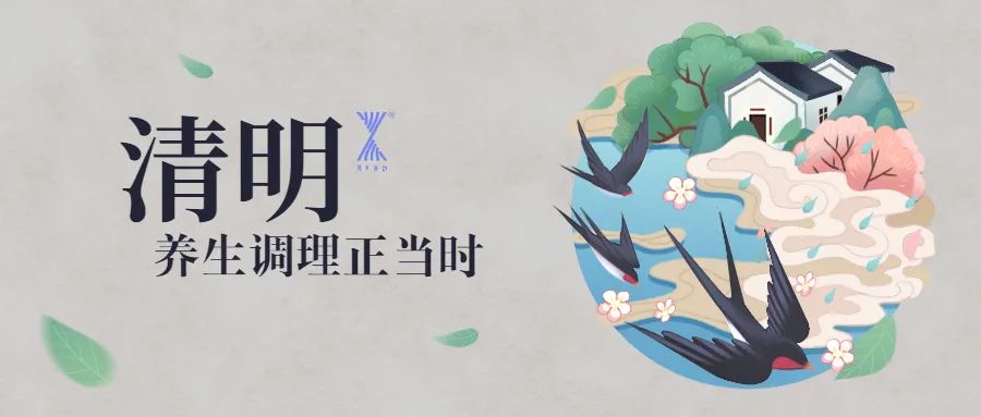 清明時節雨紛紛 疏通經絡馬上給身體加分！